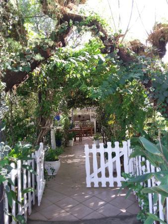 Cokertme Manti Cigborek