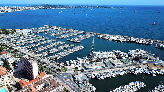Port Camille Rayon