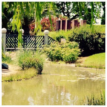 Parco Exflora