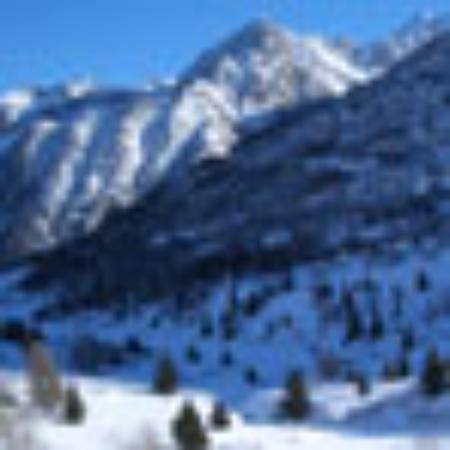 Antico Forno Parchi Dal 1889