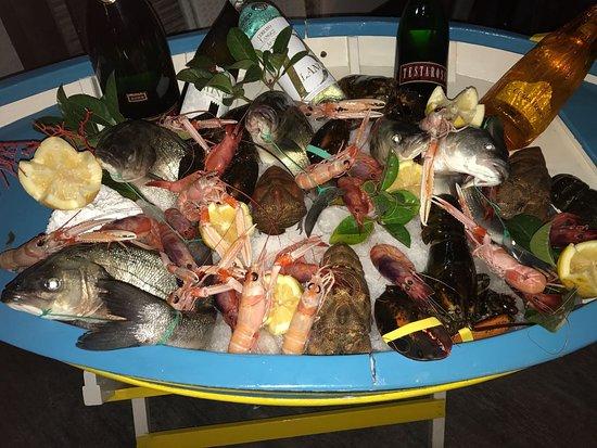 Bahia 69