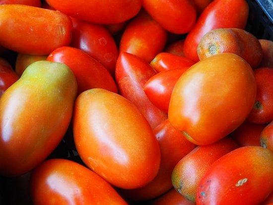 Rosticceria e Pizzeria da Salvatore