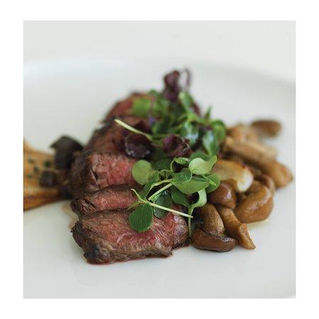 Bollicine