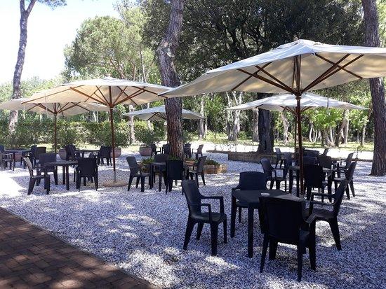 Nuova Perla del Bosco