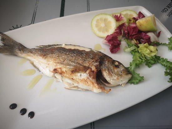 Ristorante El Jazira