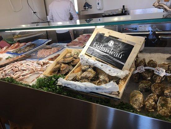 Nitto taverna marinara