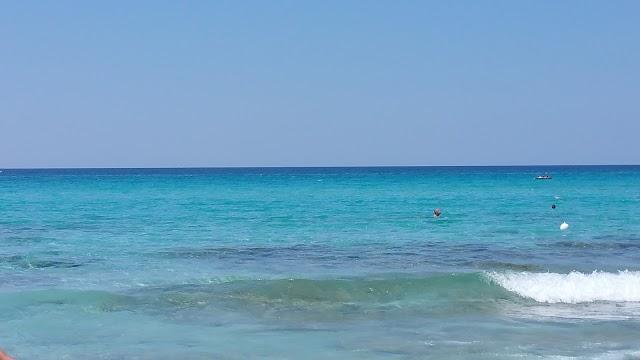 Panificio Biscottificio Primavera