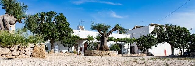 Masseria Lamapecora