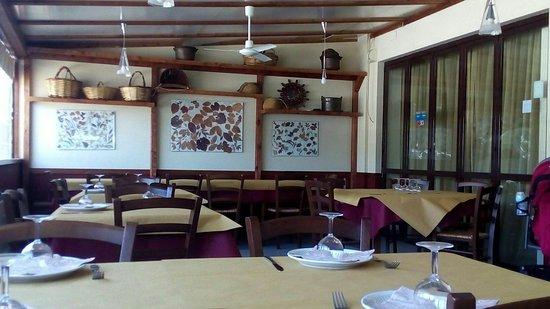 Ristorante Pizzeria Il Coccio