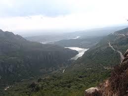 Coghinas