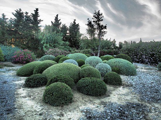 Botanical Dry Garden