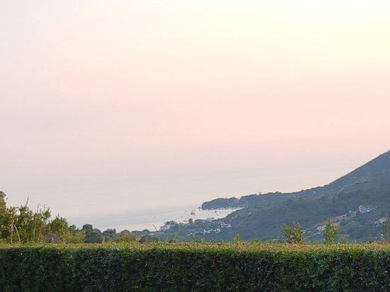 Sulle Onde Della Collina Country House