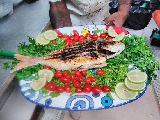 El Cachalote