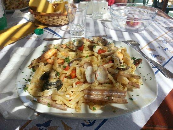 Il Delfino