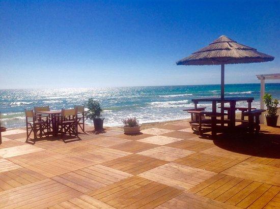 Lido Al Gazebo