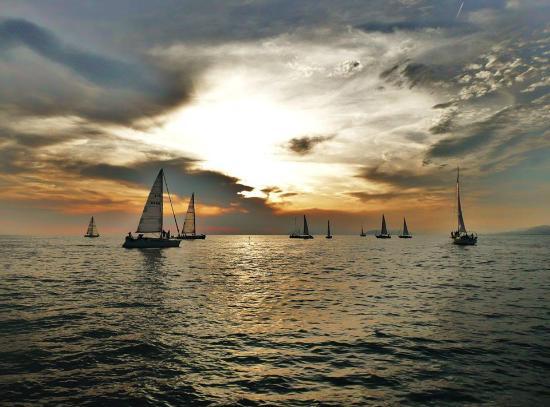 Vela Mare SSD - Day Tours