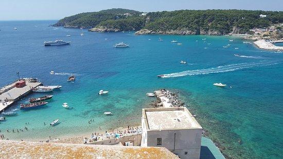 Linee Marittime Adriatico