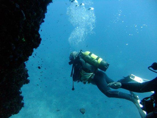 Blue Service Diving Centre