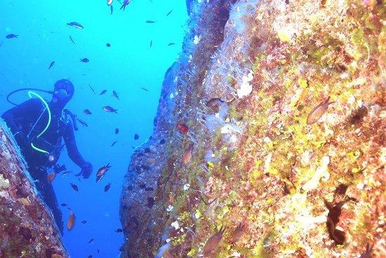 Muciara Diving Center