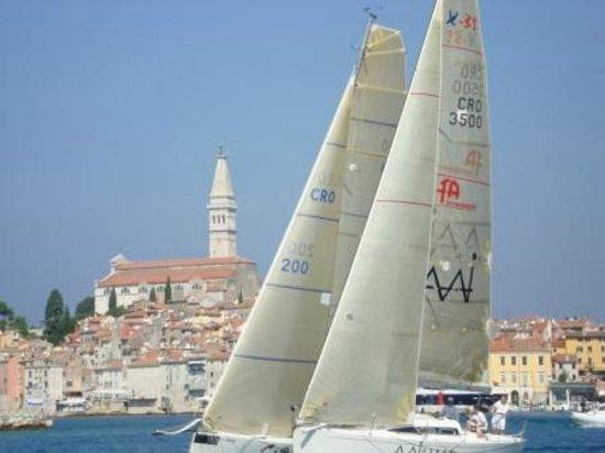 Spark Sailing