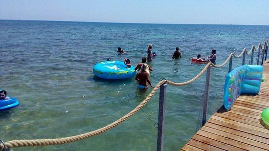 Mosquito Live Beach