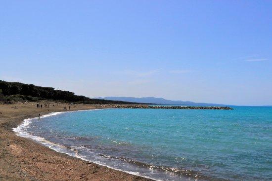Bagni Il Delfino