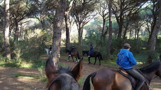 Cavallo Natura