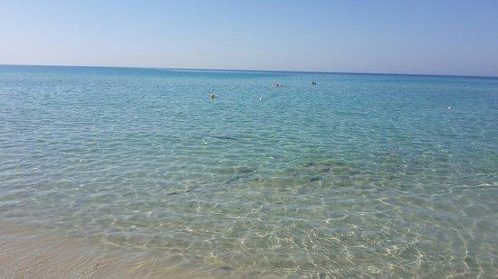 Lido Conca del Sole