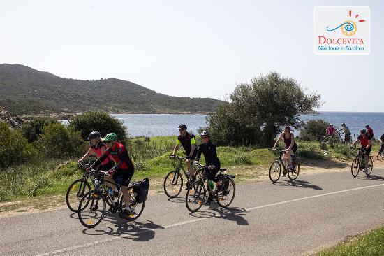 Dolcevita Bike Tours
