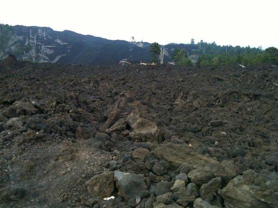 Etna Wild