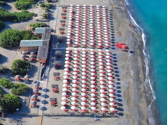 Bagno Cormorano
