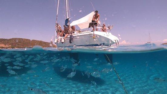 Buriana Charter