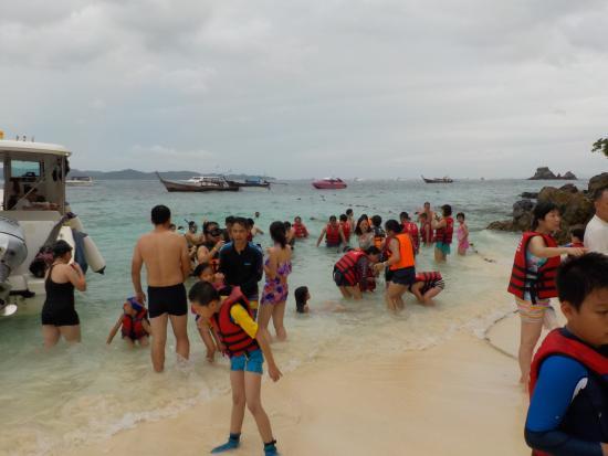 Phuket Free Day