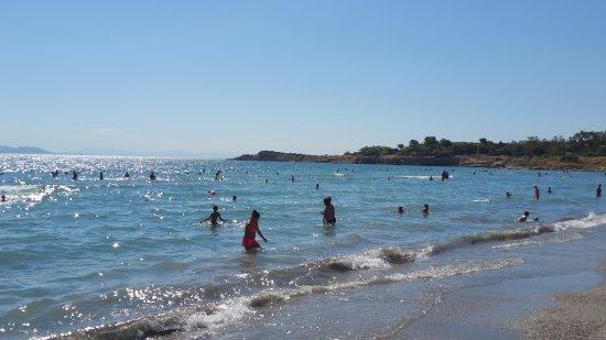 Thalassea