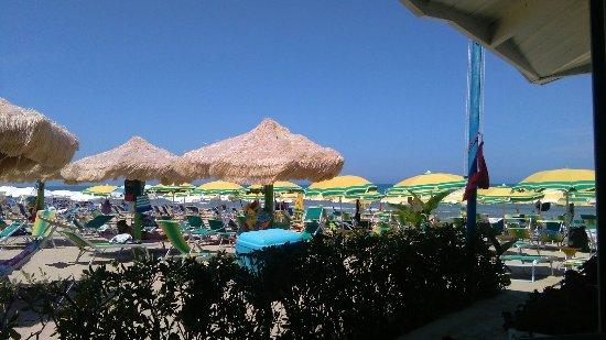 Lido Marlin