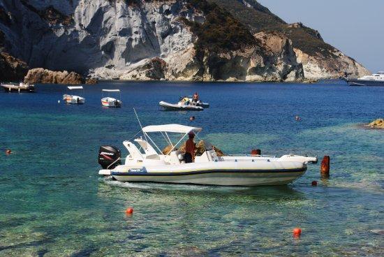 Sfizio di Mare