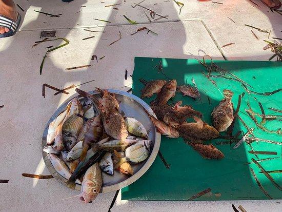 Pesca turismo Michele e Vito Provenzano