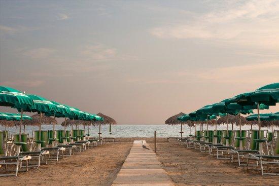 Ricci di Mare