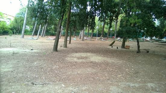 Parco Dei Conigli