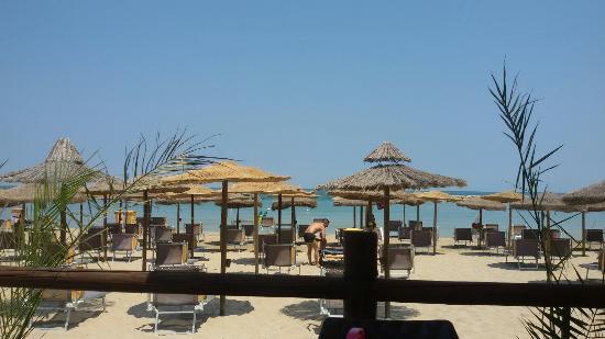 Bikini Beach