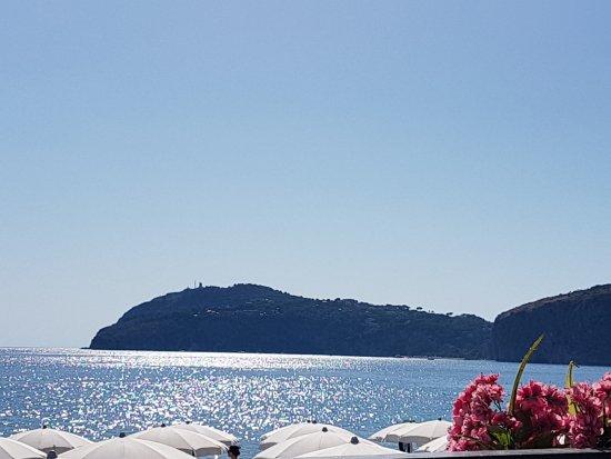 Lido Aleppis