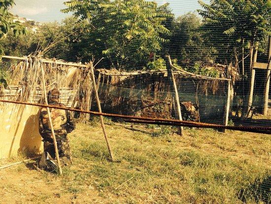 War Field Paintball