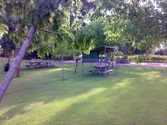 Azienda Agricola Angolo Verde