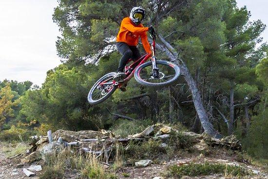 TF7 Action Sport
