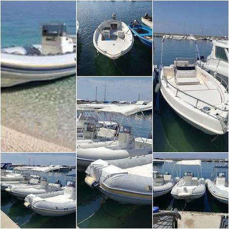Pisciotta Charter