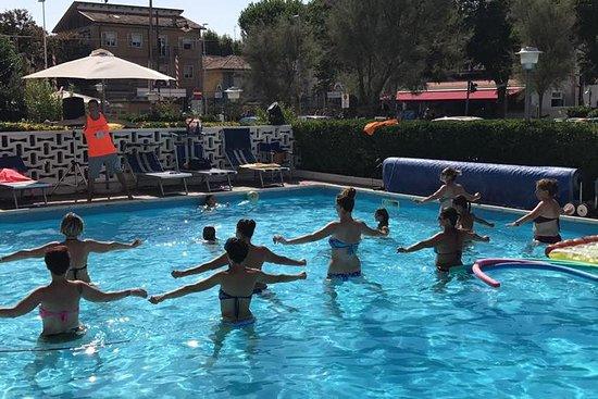 SN FED Animazione