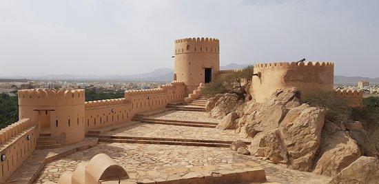 Talal Tours and Transportation