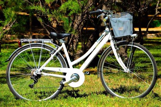 Xtreme Sport & Co - Bike and Scooter Rentals