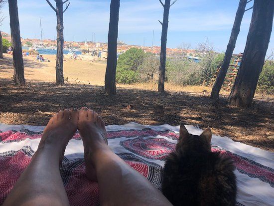 Pineta Punta Nera