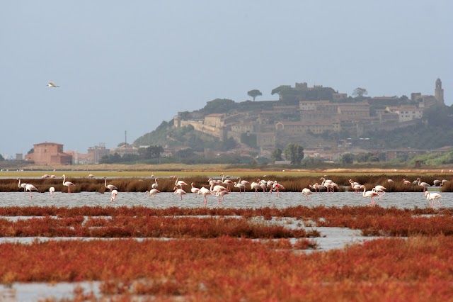 Riserva Naturale Diaccia Botrona